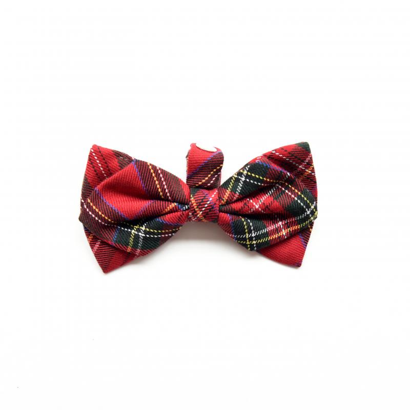 ZAZAZOO Dog Bow Tie - Premium Pet Collar Accessories - Just £7.95! Shop now at Mudless Pet Supplies Limited