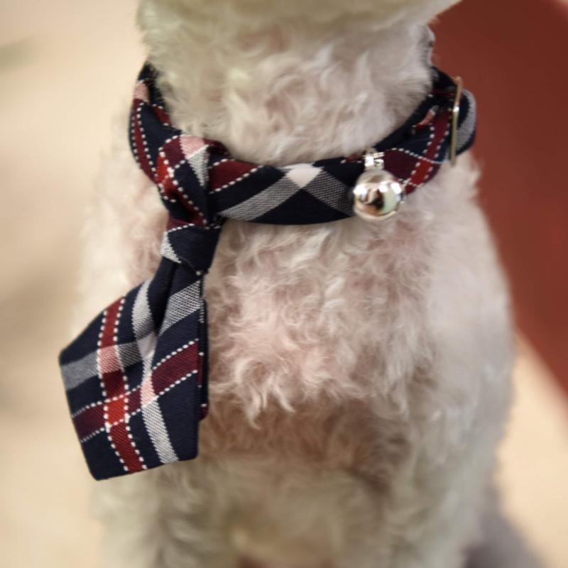ZAZAZOO Dog Tie - Premium Pet Collar Accessories - Just £7.95! Shop now at Mudless Pet Supplies Limited