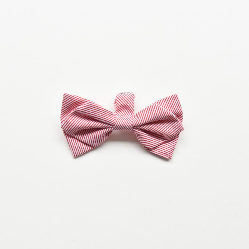 ZAZAZOO Cat Bow Tie - Premium Pet Collar Accessories - Just £7.95! Shop now at Mudless Pet Supplies Limited