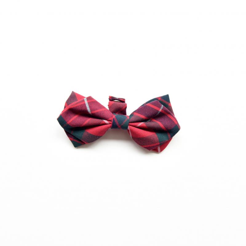 ZAZAZOO Cat Bow Tie - Premium Pet Collar Accessories - Just £7.95! Shop now at Mudless Pet Supplies Limited