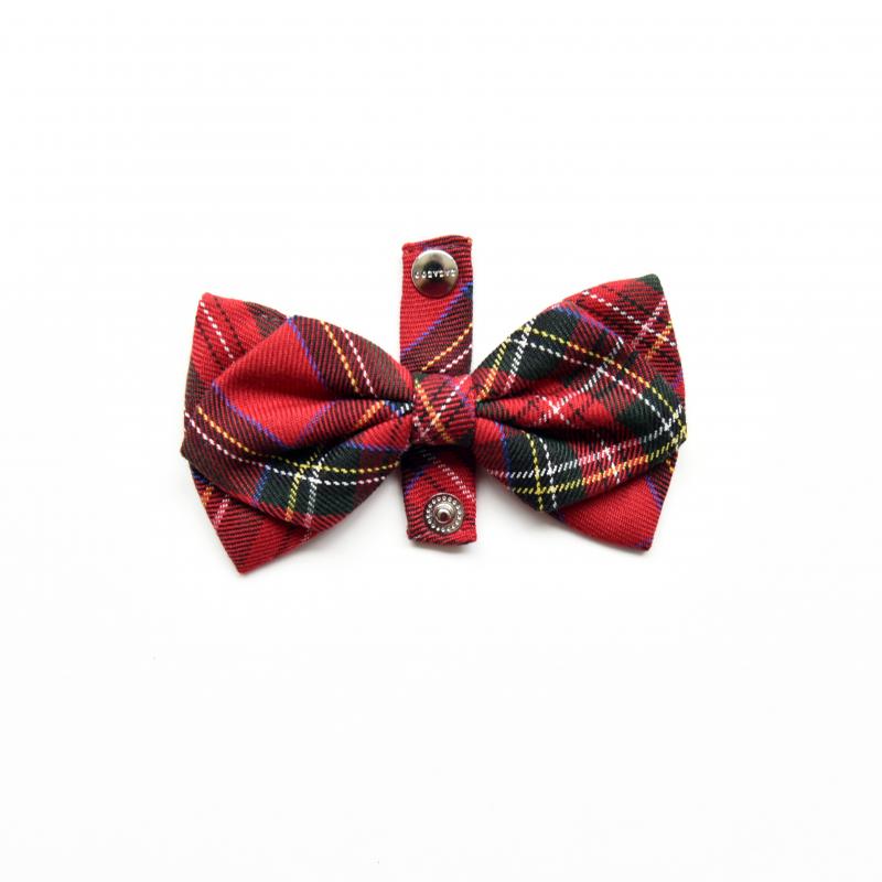 ZAZAZOO Dog Bow Tie - Premium Pet Collar Accessories - Just £7.95! Shop now at Mudless Pet Supplies Limited