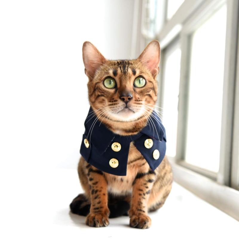 ZAZAZOO Pet Trench Coat - Classic (Dog/ Cat) - Premium Pet Trench Coat - Just £33! Shop now at Mudless Pet Supplies Limited